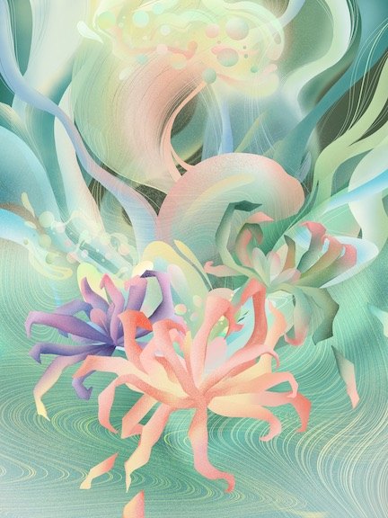 Flowers illustration